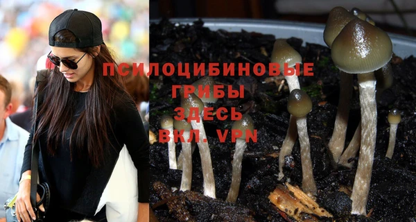 каннабис Вязники
