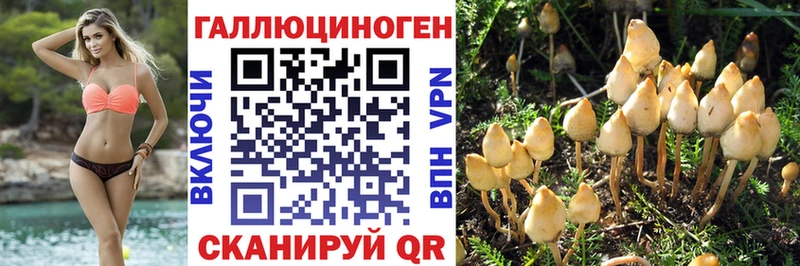 Псилоцибиновые грибы мицелий  Купить где  Красный Холм 